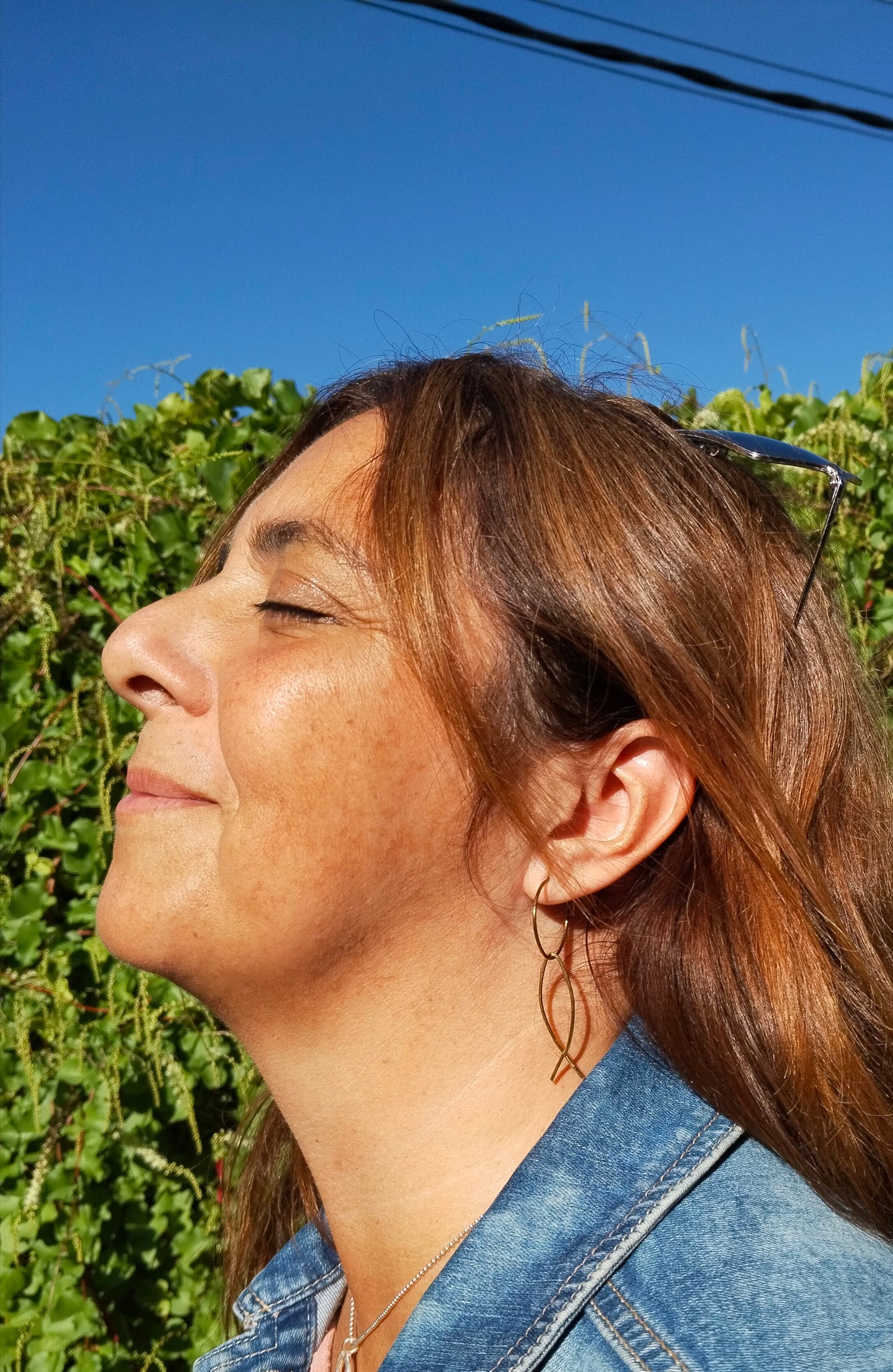 Pez laton alambre aro